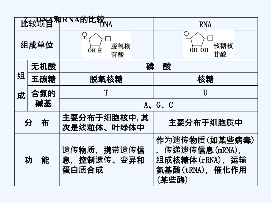 【创新设计】2011届高考生物一轮复习第二章第4讲 核酸、糖类和脂质课件 苏教版必修1_第2页