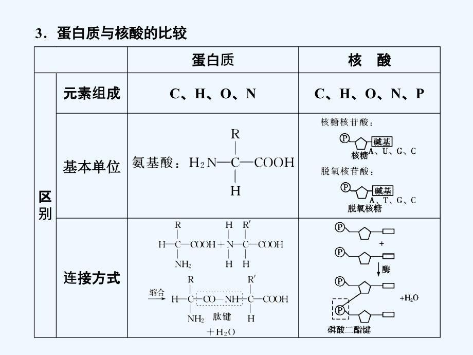 【创新设计】2011届高考生物一轮复习第二章第4讲 核酸、糖类和脂质课件 苏教版必修1_第3页