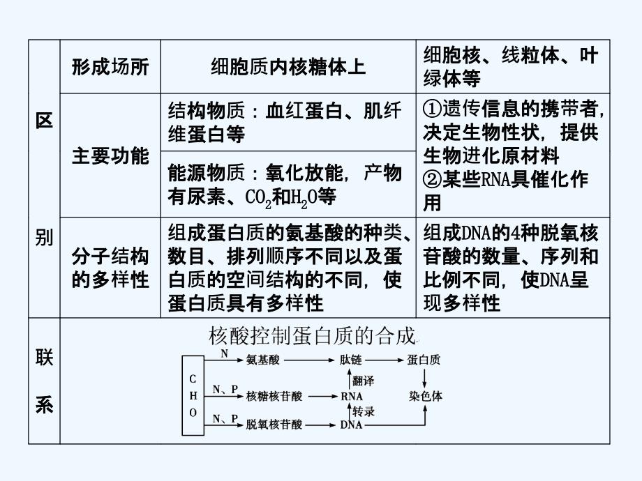 【创新设计】2011届高考生物一轮复习第二章第4讲 核酸、糖类和脂质课件 苏教版必修1_第4页