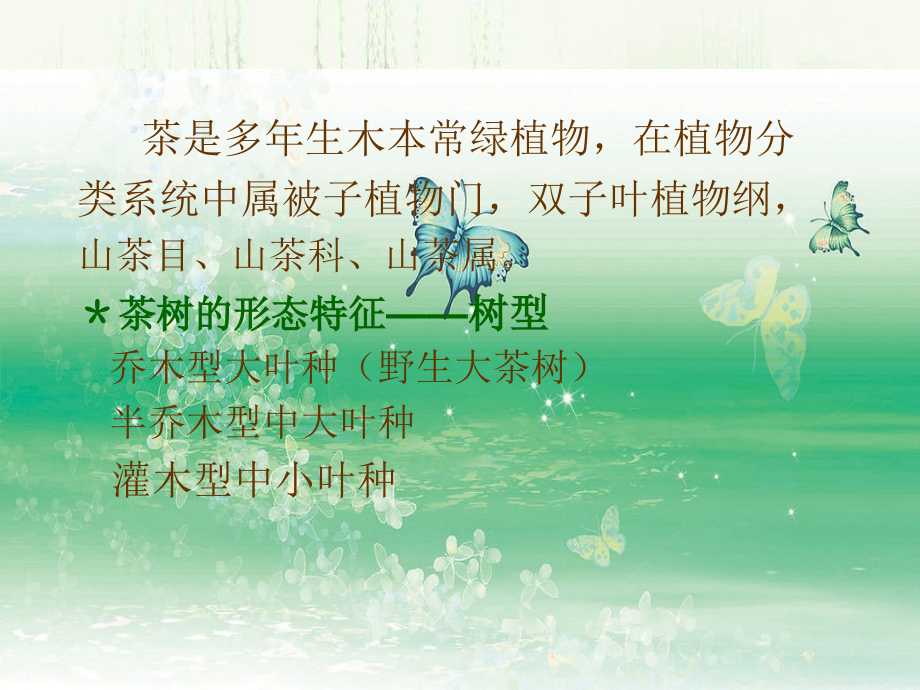 初级茶艺师培训课件ppt_第4页