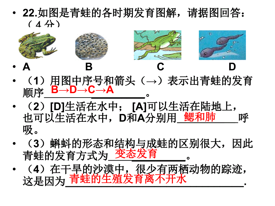 514生物进化的原因演示文稿_第4页