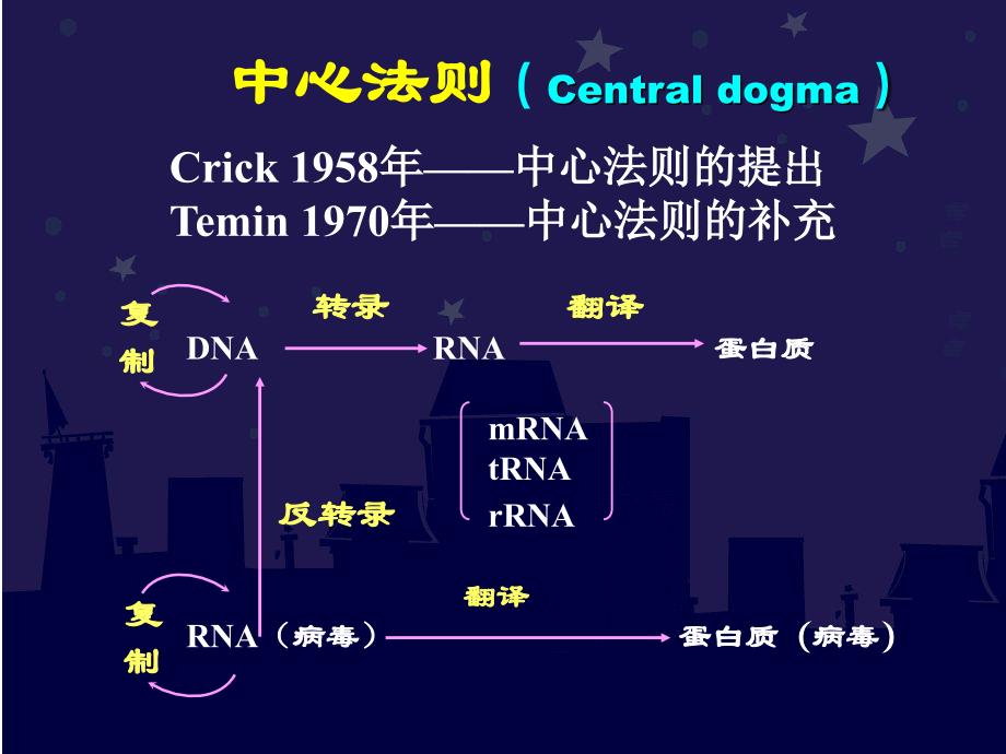 第2章中心法则_第1页
