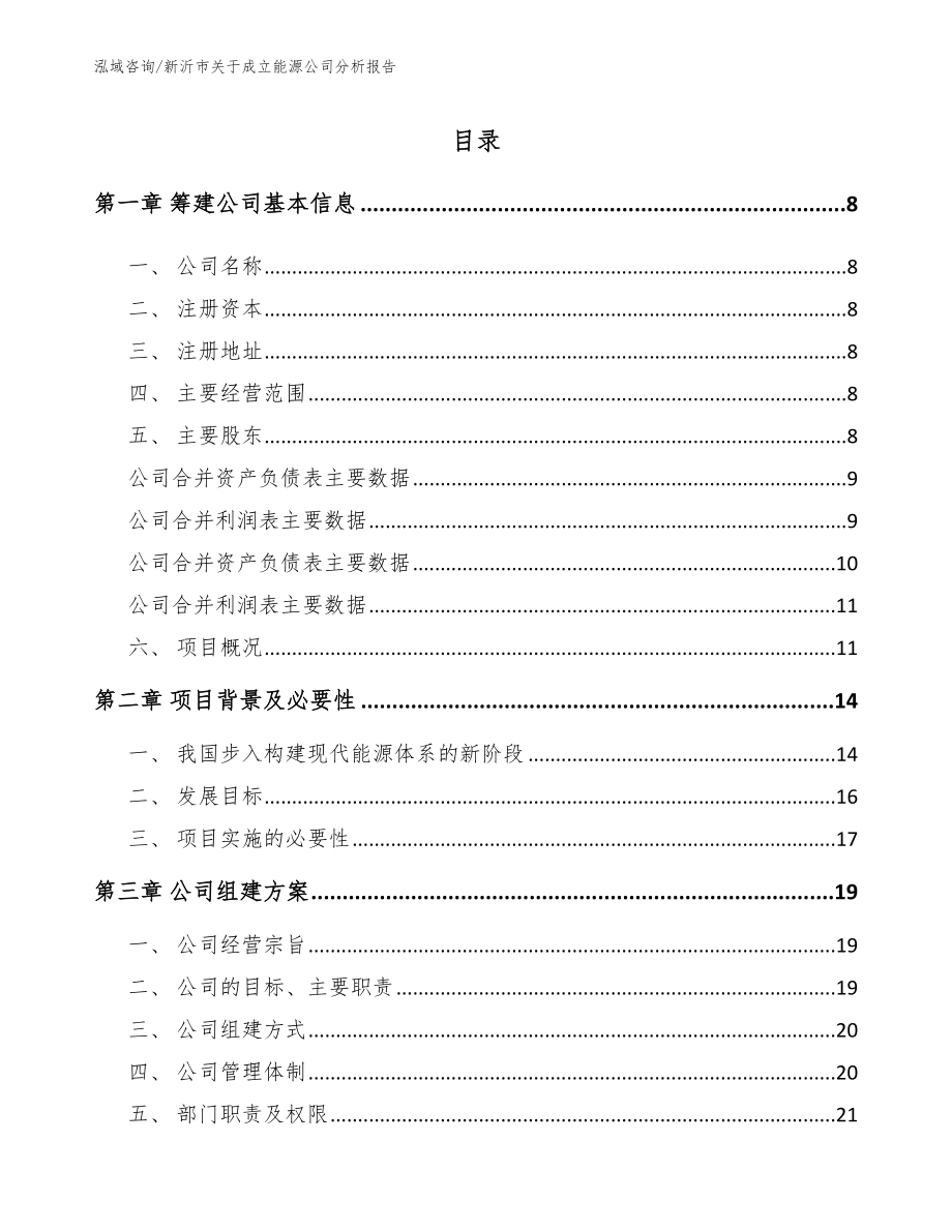 新沂市关于成立能源公司分析报告（范文模板）_第2页