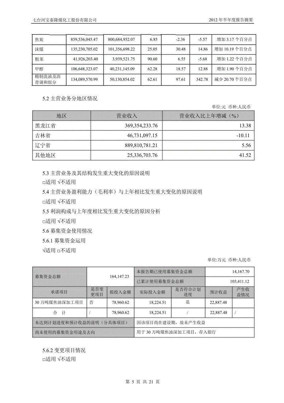 601011宝泰隆半年报摘要_第5页