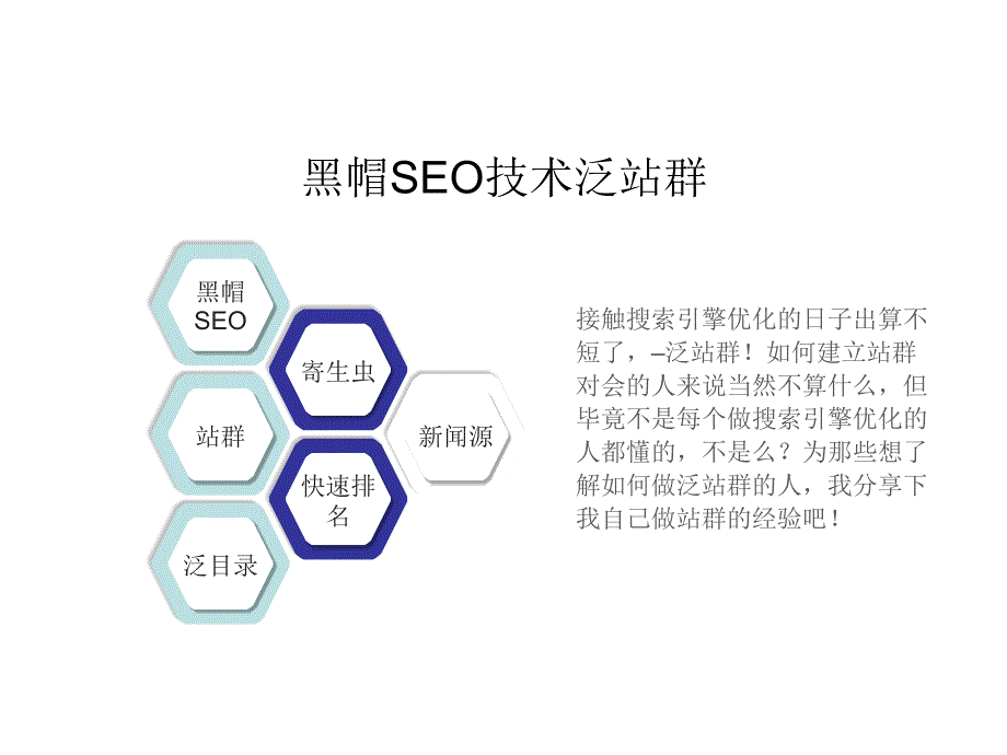 黑帽学习网黑帽SEO技术泛站群操作详解_第3页