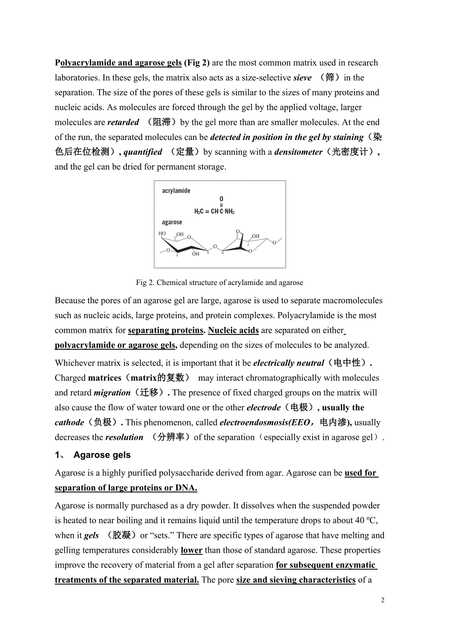 电泳(打印)Chapter10Protein Electrophoresis.doc_第2页