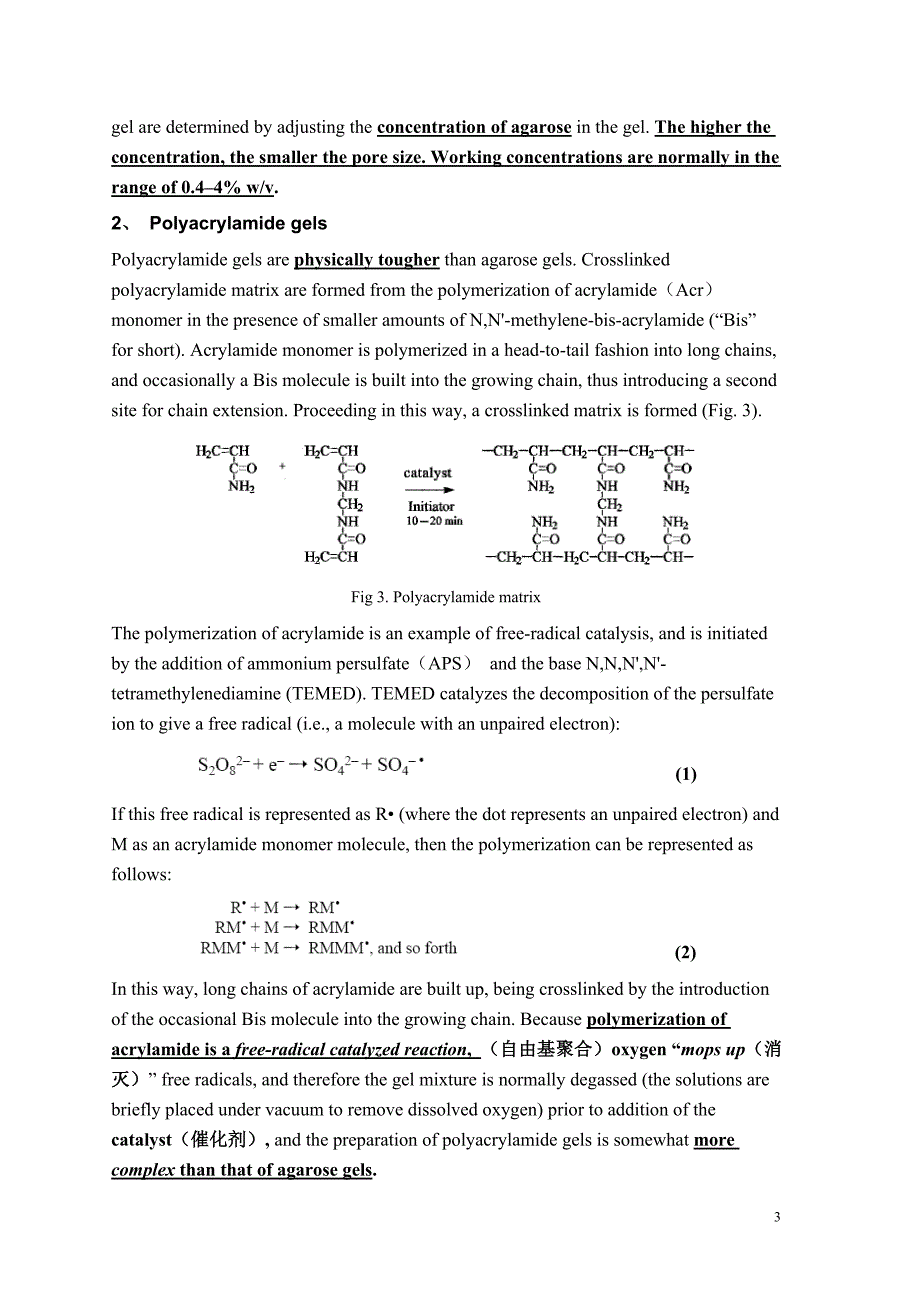 电泳(打印)Chapter10Protein Electrophoresis.doc_第3页