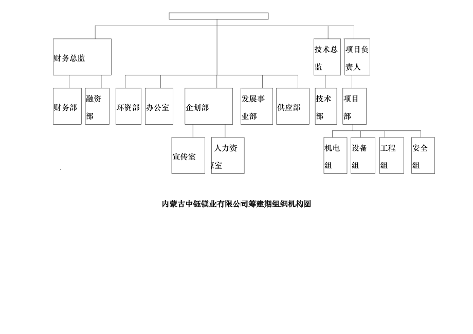 某镁业有限公司筹建期组织机构图_第2页