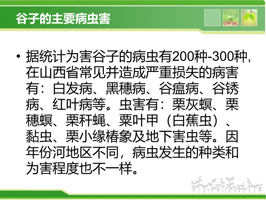 谷子病虫害解决方案PPT课件02_第2页