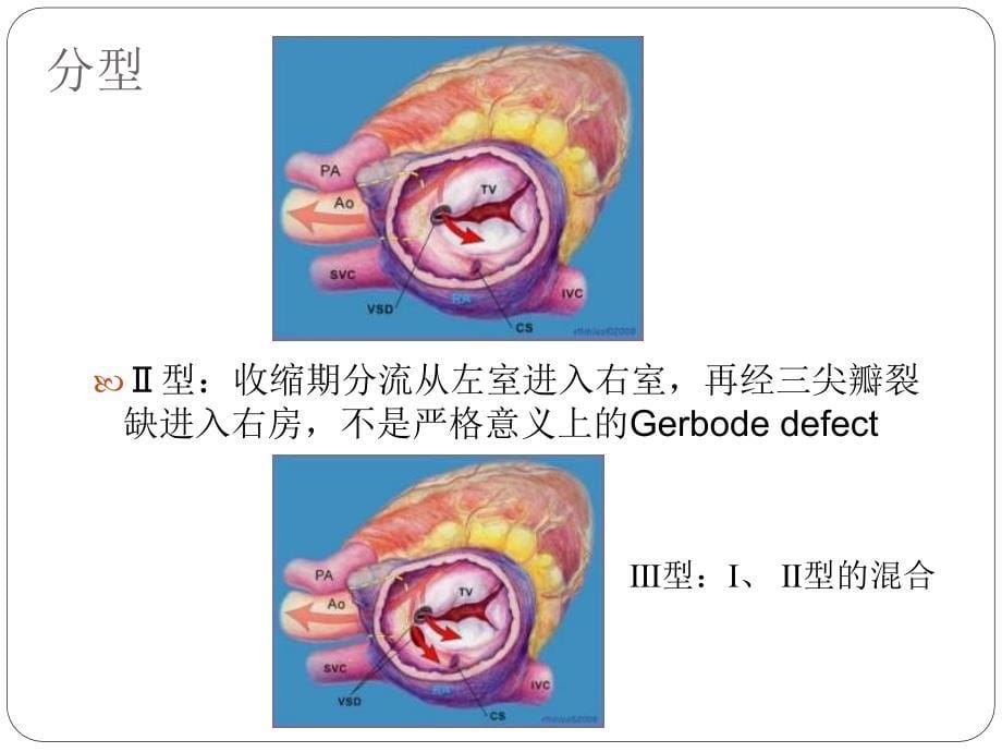 四川大学华西医院曾智_第5页