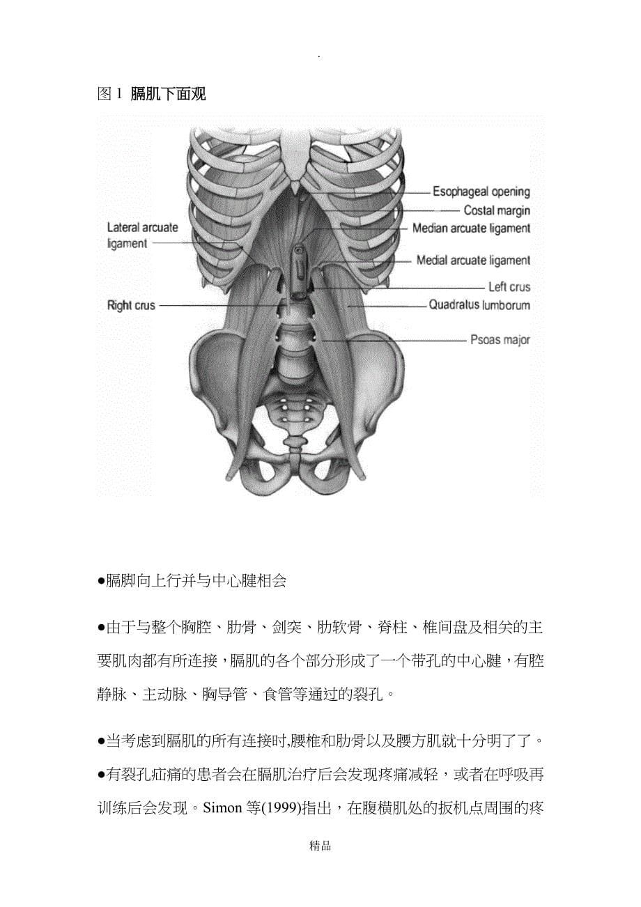 膈肌的神经康复技术_第5页