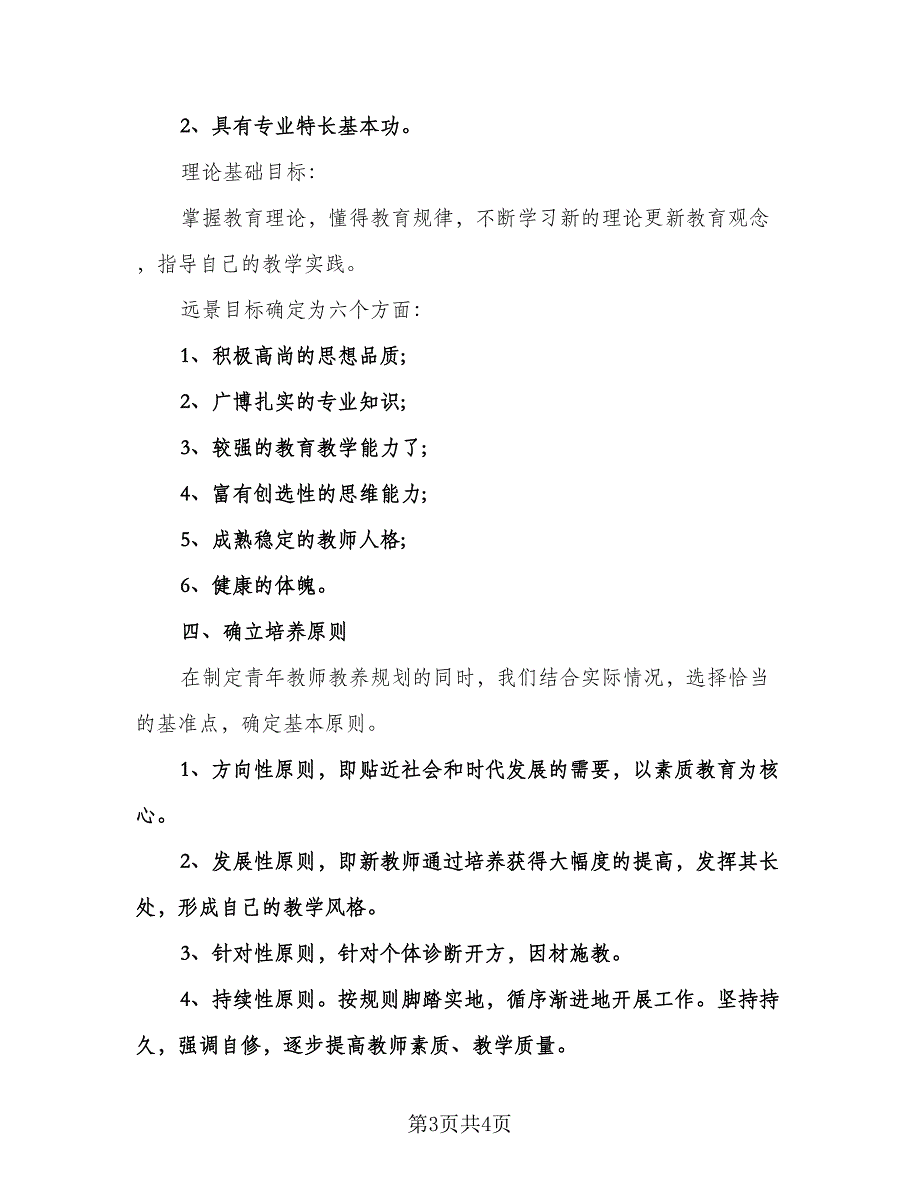 指导青年教师小学工作计划范文（二篇）.doc_第3页