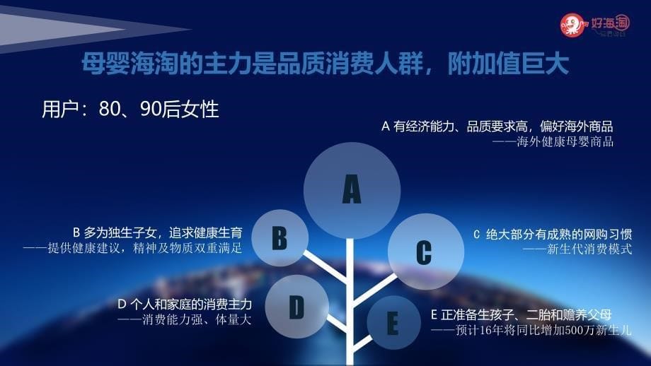 ”好海淘”最可信的 “母婴健康海淘” 跨境电商B2B2C平台商业计划书_第5页