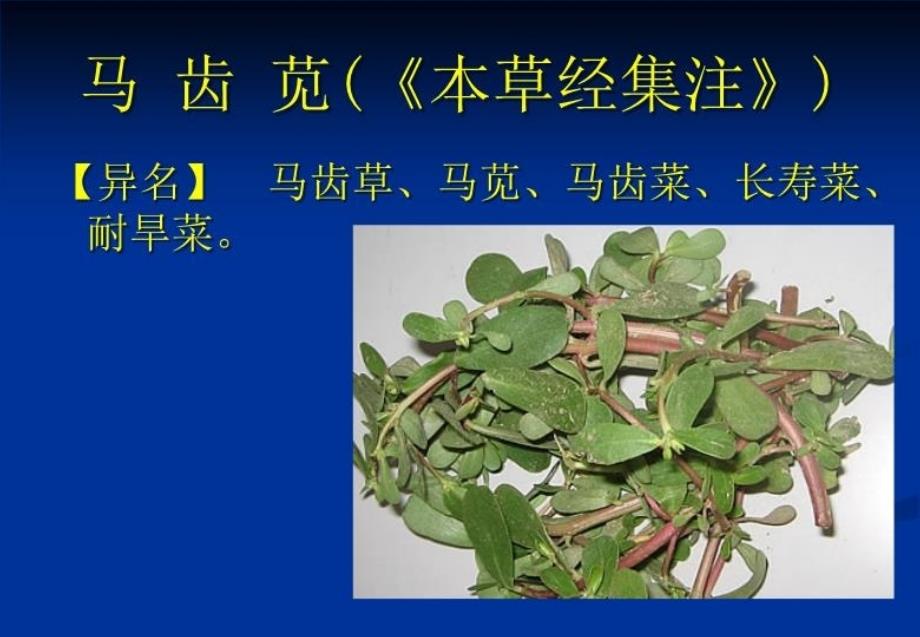 中医药膳课件野菜类食用菌类3_第4页