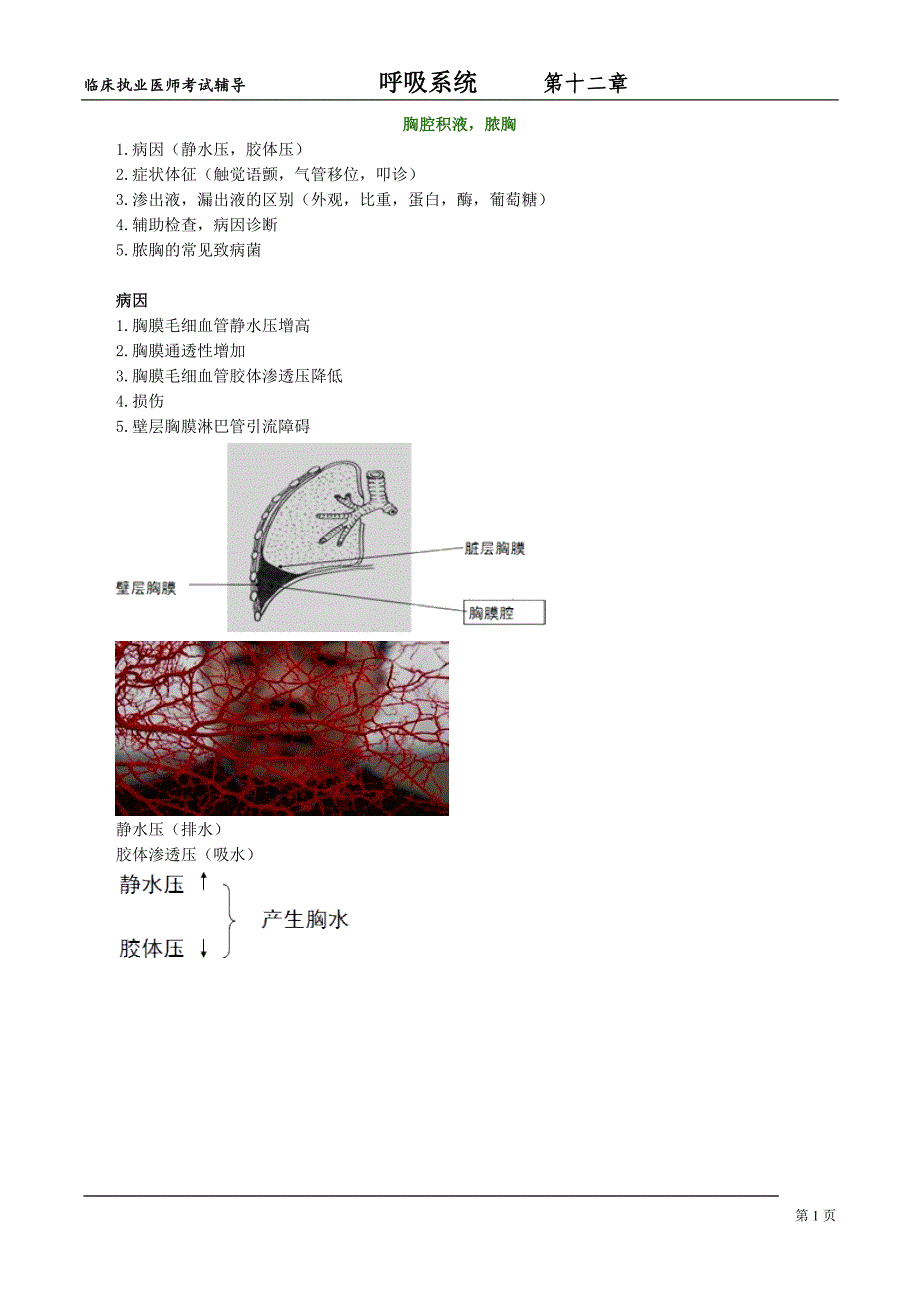 呼吸系统hxxt_jy1201.doc_第1页