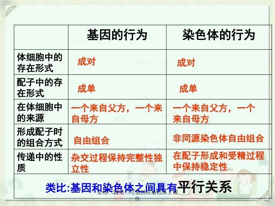 必修二22第二节基因在染色体上课件_第5页