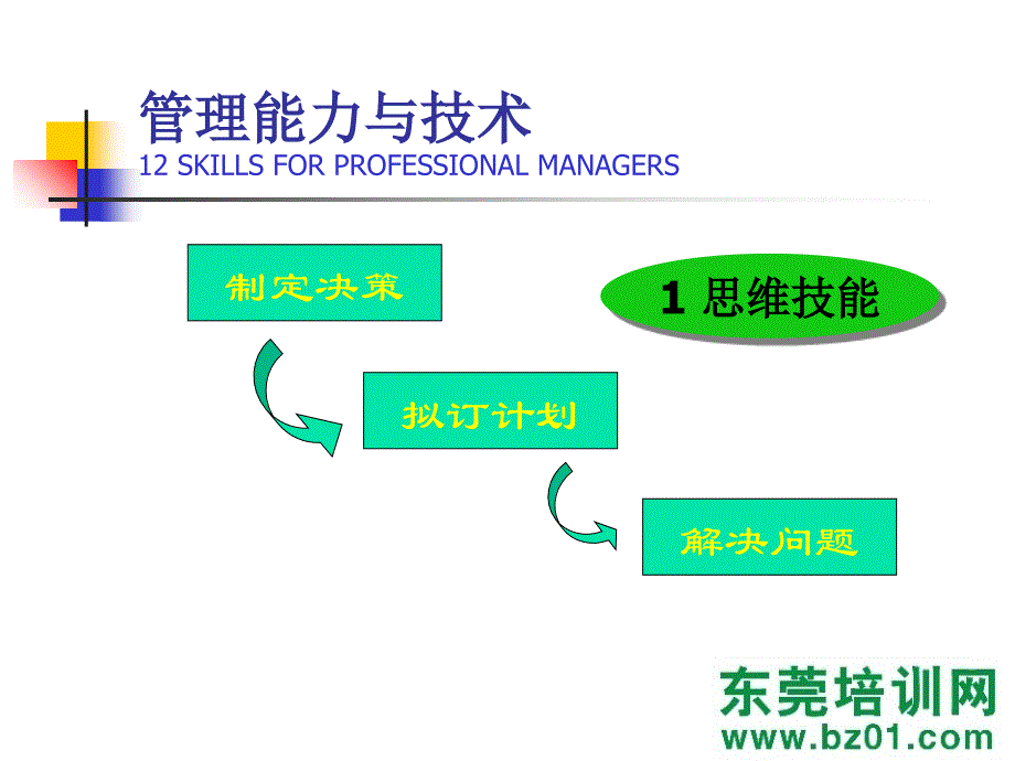 管理能力技术总结课件_第4页