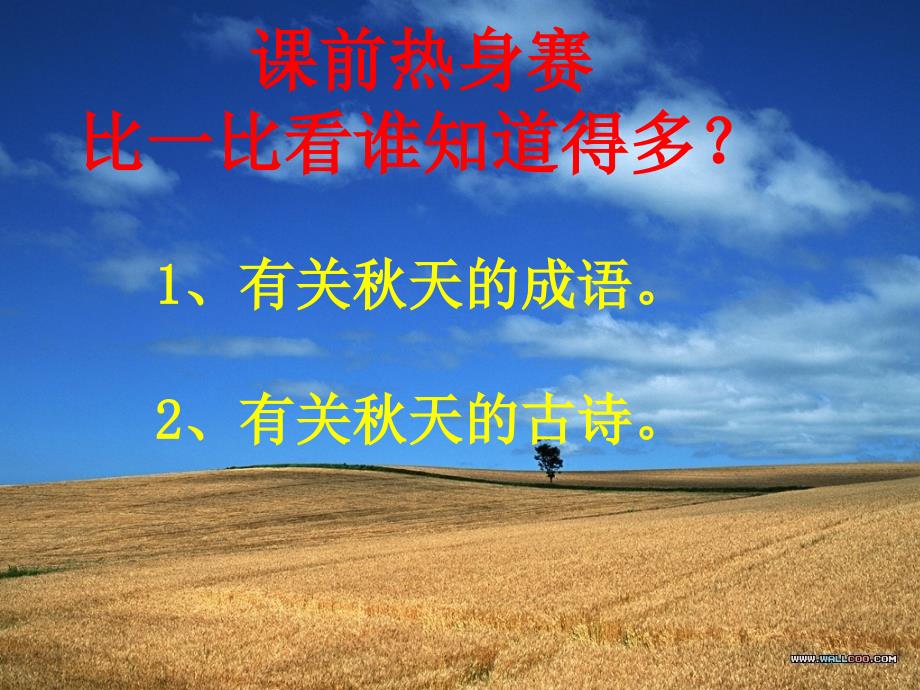 三年级语文上册第一组6做一片美的叶子第二课时课件_第2页