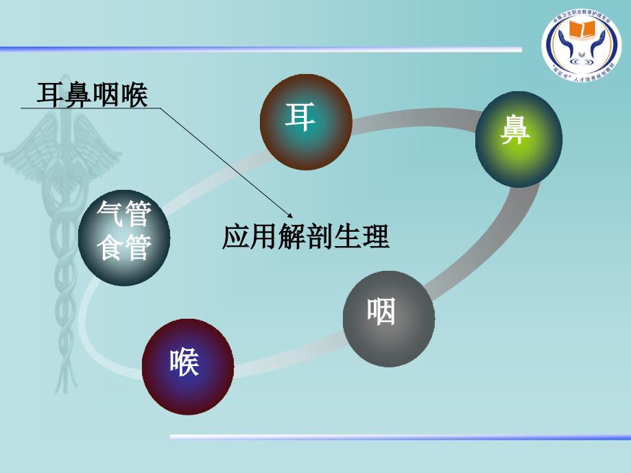 第四章耳鼻咽喉解剖PPT_第2页