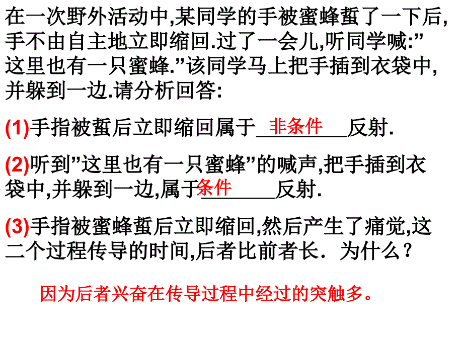 人脑的高级功能_第2页