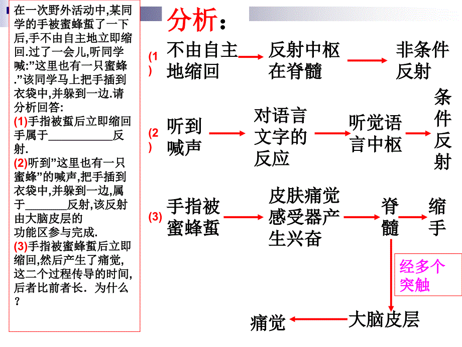 人脑的高级功能_第3页