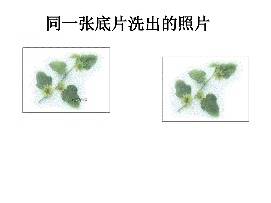 山东省龙口市诸由观镇诸由中学七年级数学鲁教版五四制上册课件1.2全等三角形_第2页