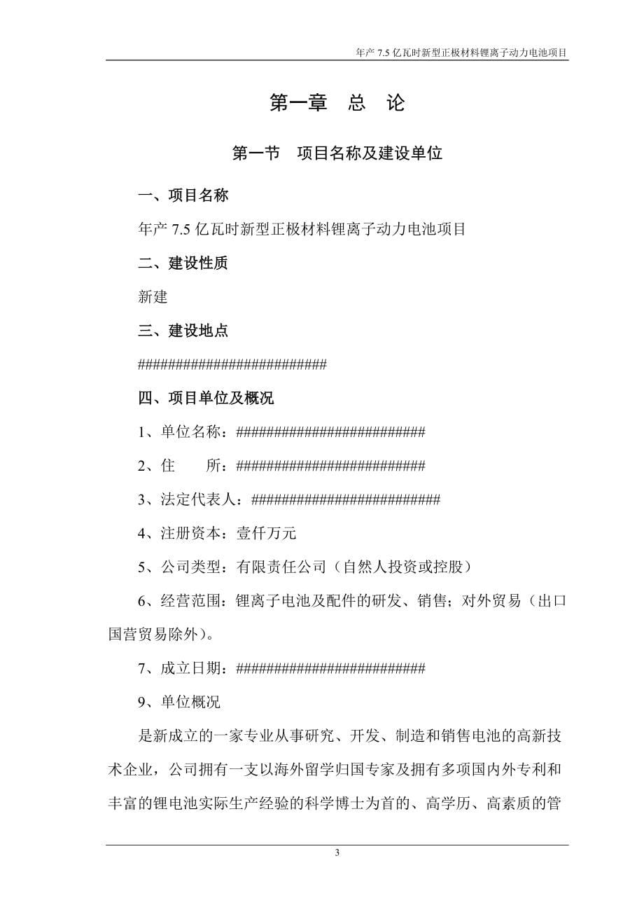 年产7.5亿瓦时新型正极材料锂离子动力电池项目可行性研究报告_第5页