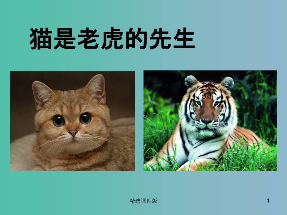 三年级语文上册猫是老虎的先生课件3沪教版_第1页