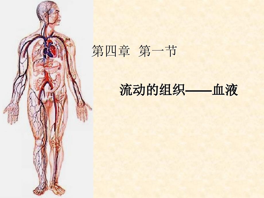 流动的组织血液PPT通用课件_第2页