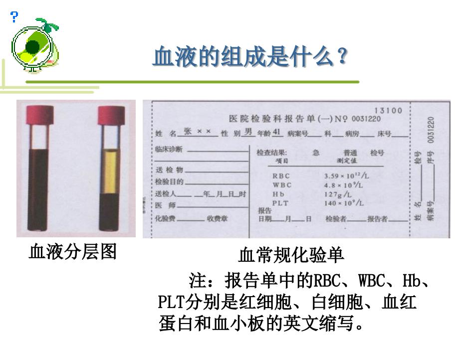 流动的组织血液PPT通用课件_第4页