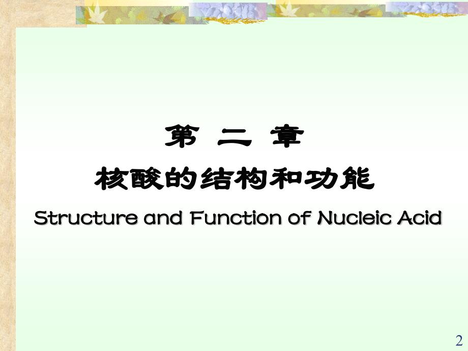 生物化学课件：2第二章 核酸的结构与功能（09医本）_第2页