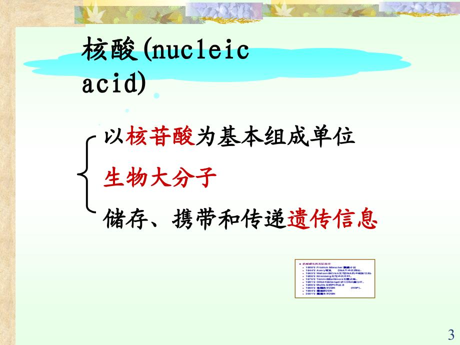 生物化学课件：2第二章 核酸的结构与功能（09医本）_第3页