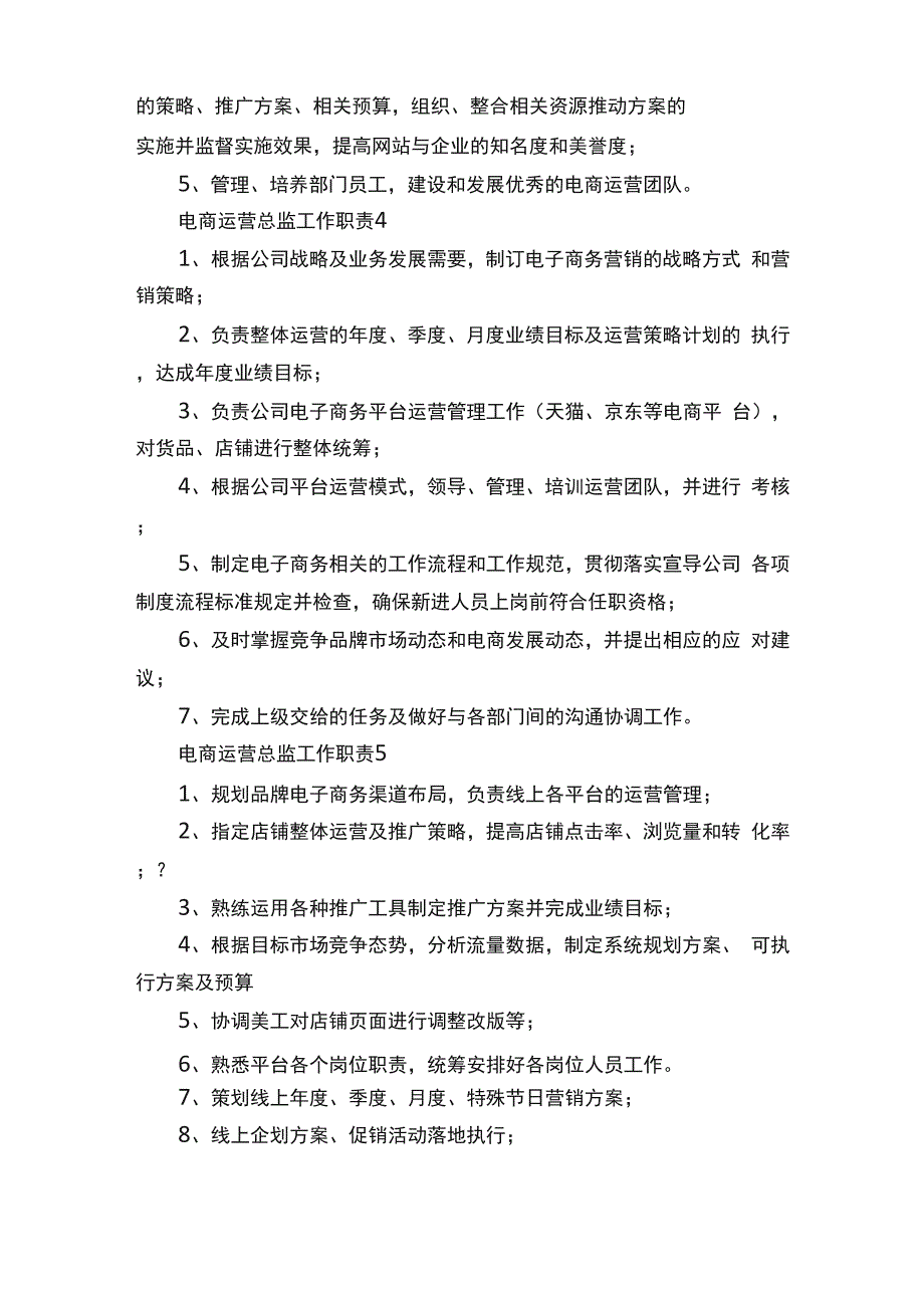 电商运营总监工作职责_第2页