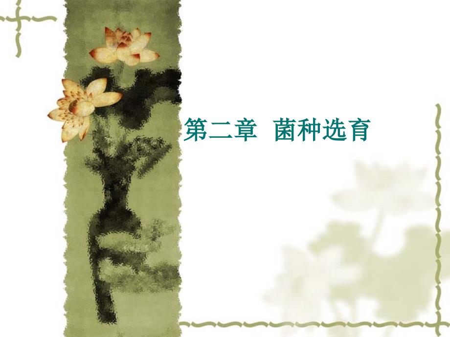 第二章 微生物菌种选育_第1页