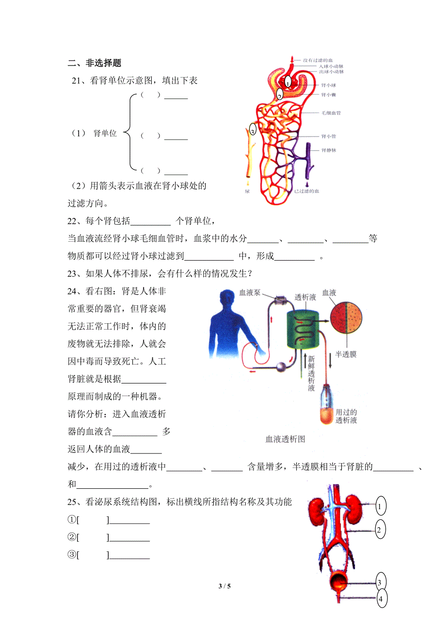 《人体内废物的排出》复习检测_第3页