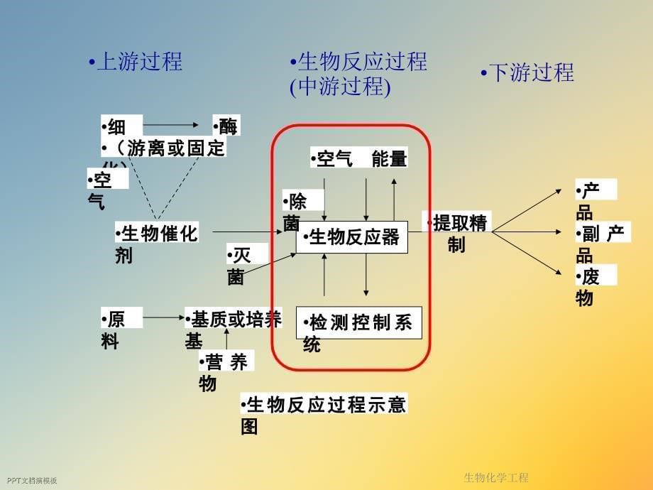 生物化学工程课件_第5页