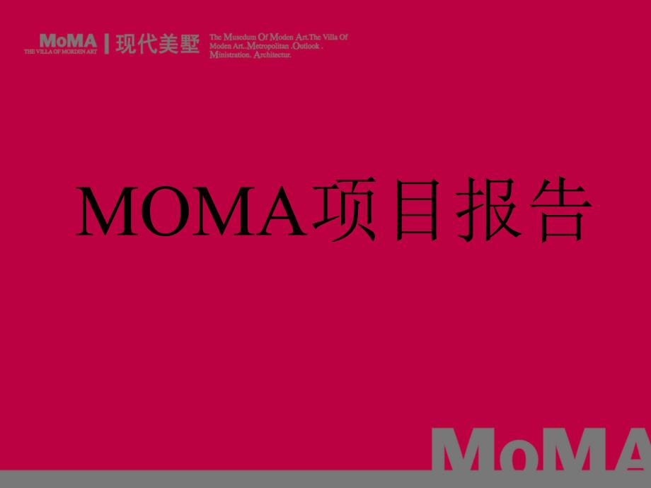 MOMA项目报告_第1页