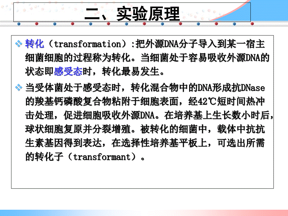 实验质粒DNA的转化_第4页