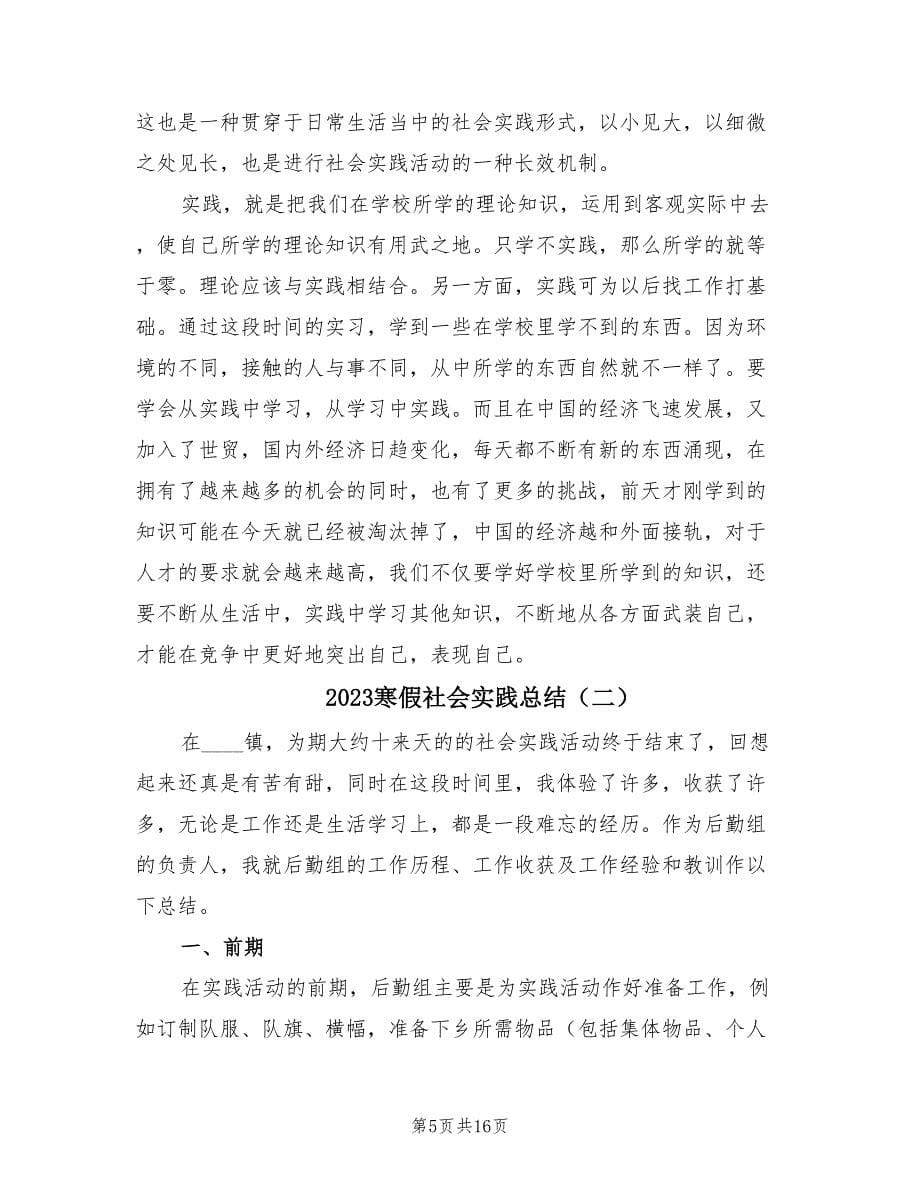 2023寒假社会实践总结（4篇）.doc_第5页