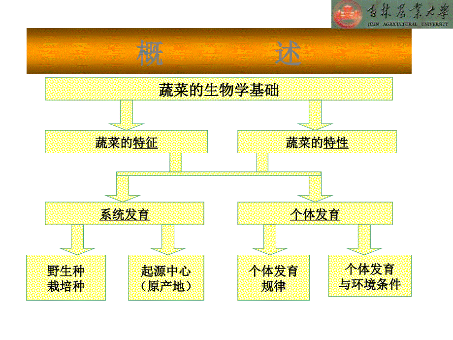 蔬菜栽培的生物学基础_第3页