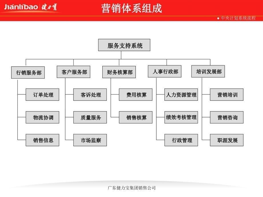 公司营销体系中央计划系统流程课件_第5页