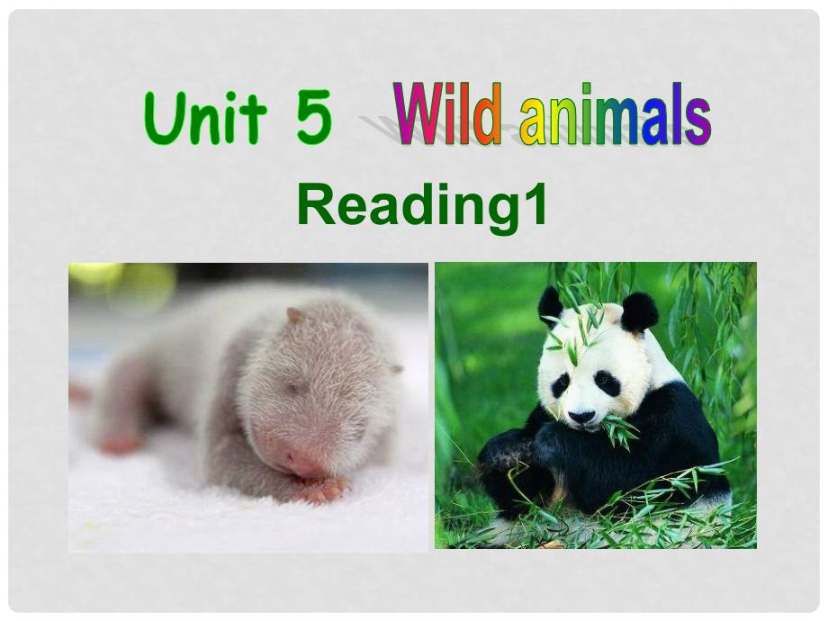 八年级英语上册 Unit 5 Wild animals Reading课件 牛津译林版_第1页