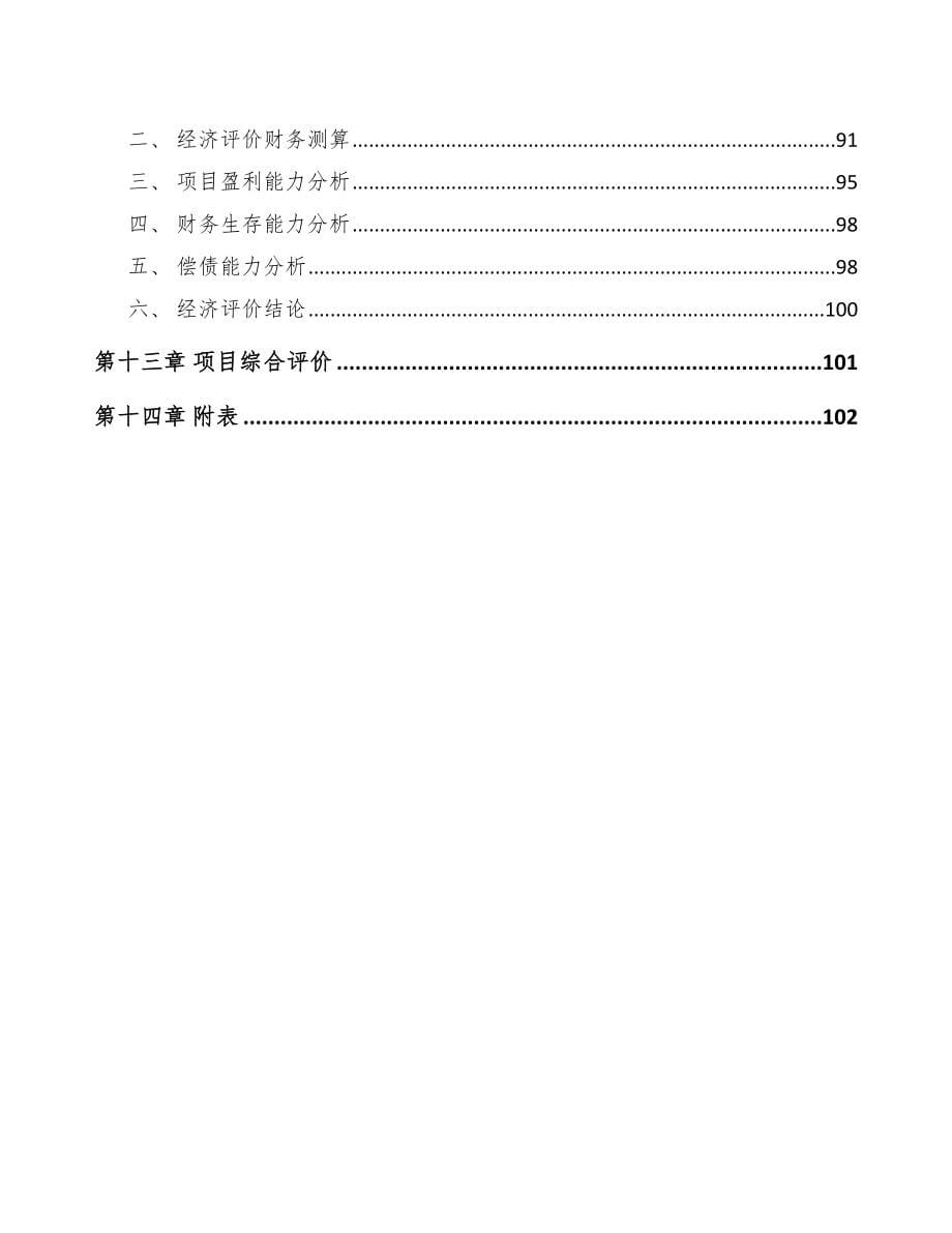 辽宁关于成立导光板公司可行性研究报告_第5页