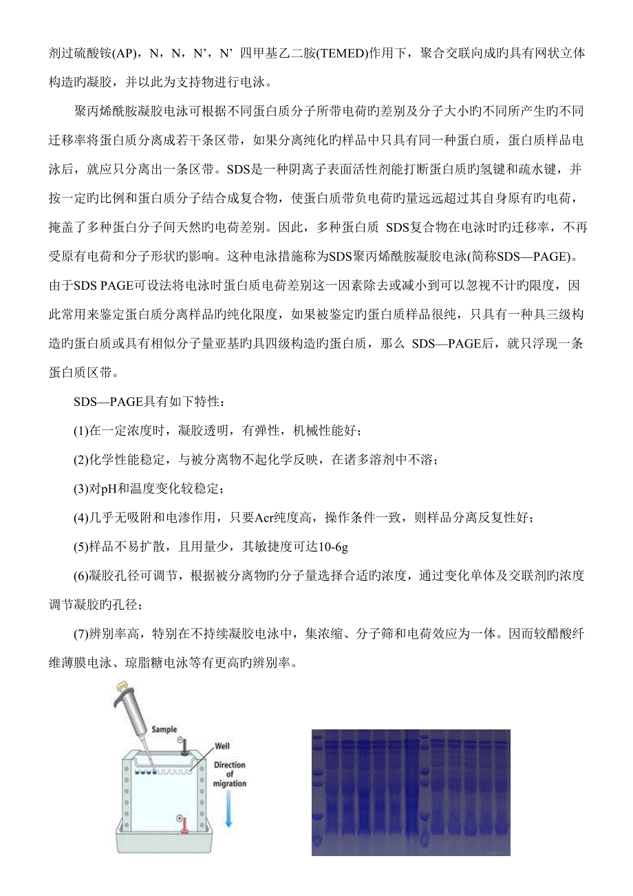 westernblot重点技术专业资料_第2页