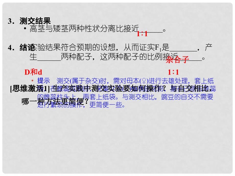 湖南省郴州市第三完全中学高中生物第一章《孟德尔的豌豆杂交实验(一)》课件（2）人教版必修2_第4页