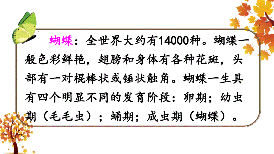 小毛虫优秀课件教学内容_第2页