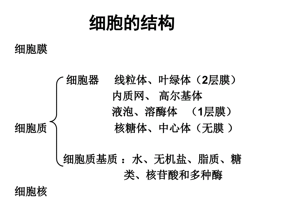 细胞器一轮复习_第1页