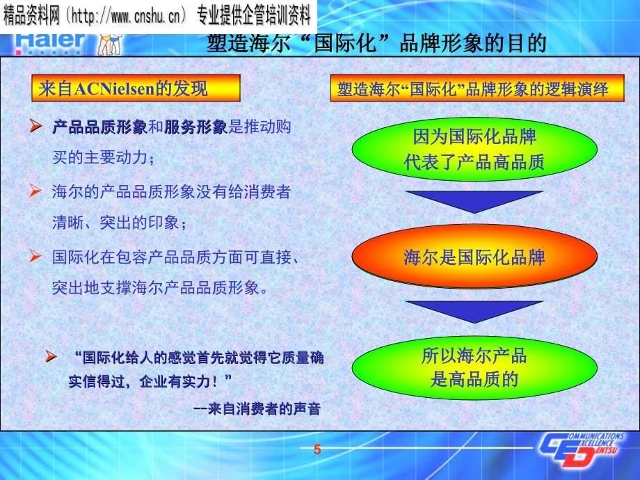 电通广告海尔牌发展规划_第5页