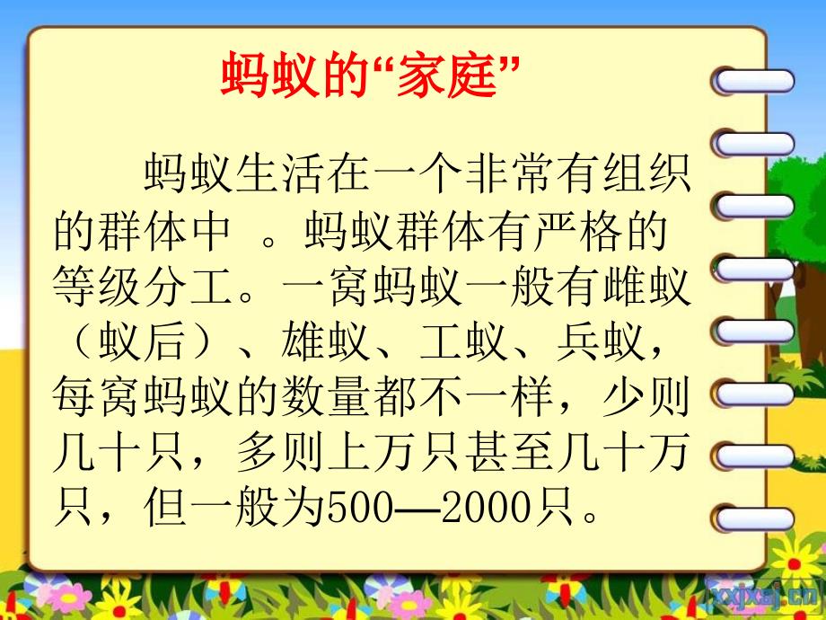 三年级科学《探访蚂蚁》_第4页