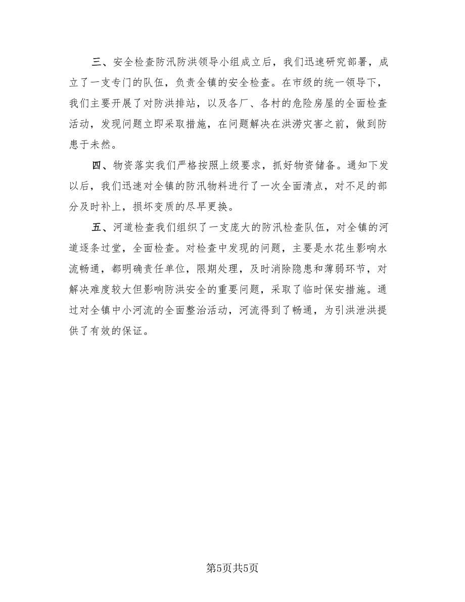 2023河南防汛抢险工作总结（2篇）.doc_第5页
